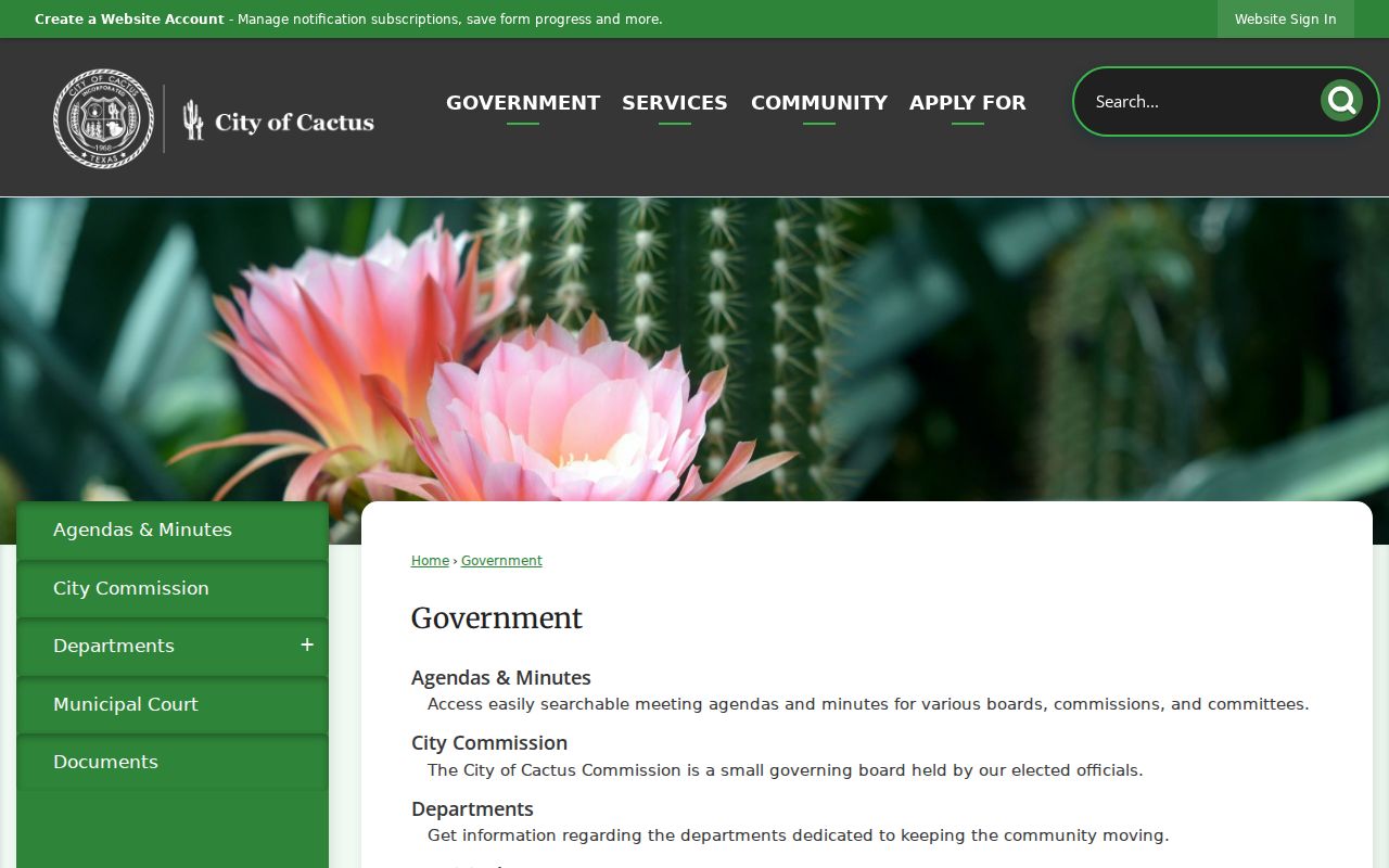 Cactus government page with Municipal Court and payment link